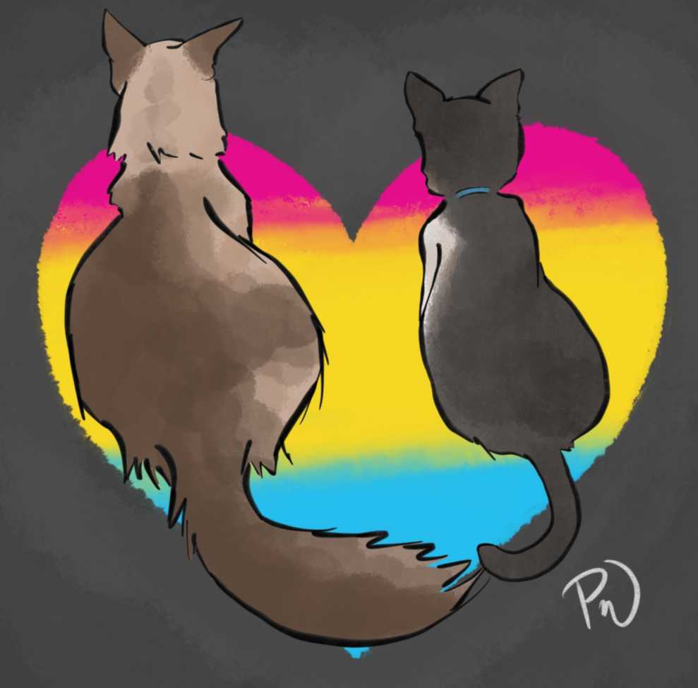 Two cats look off into the distance as their tail tips touch. They are in front of a heart in Pan Pride colors