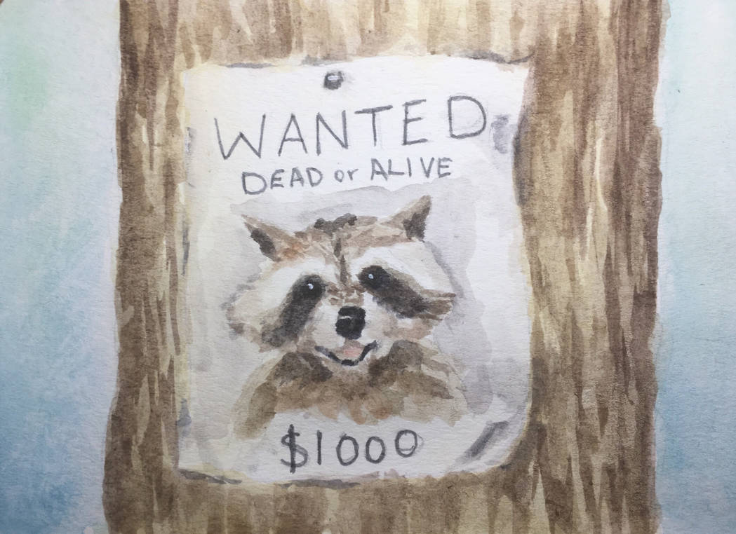 a "Wanted Dead or Alive" poster advertizing a $1000 reward for a racoon